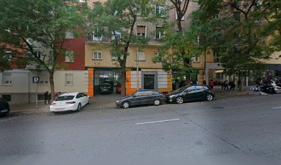 Taller Cavanilles