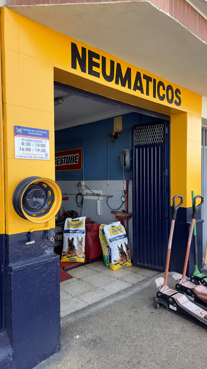 Neumaticos y Mecánica Valdezorras