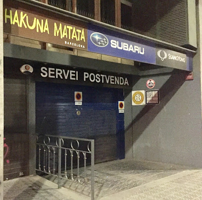 Subaru Recanvis