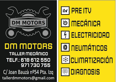 taller DM motors