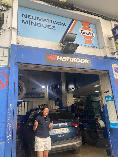Neumáticos Mínguez