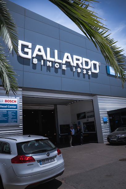 Bosch Car Service - Talleres Diesel Gallardo