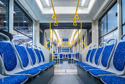 Bus Tapicería