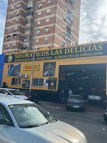 Neumáticos las Delicias Malaga S.L.