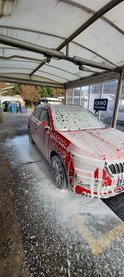 Auto Lavado