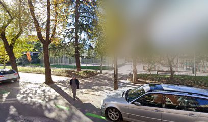 ZoomCar rental car madrid