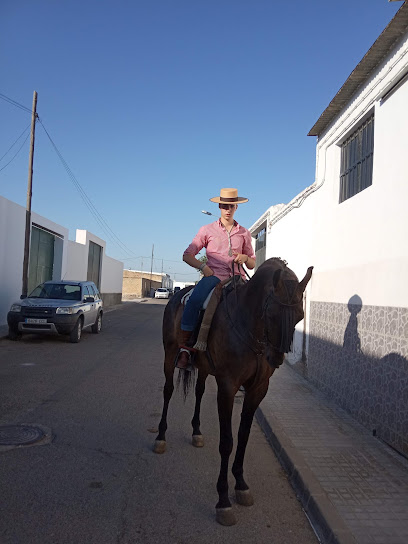 Nazare Inyeccion S.C.