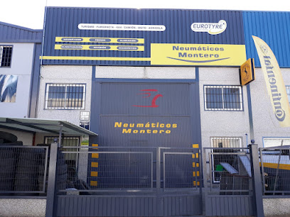 Neumaticos Montero