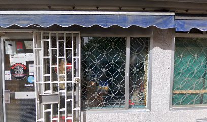 Autorecambios Lozes