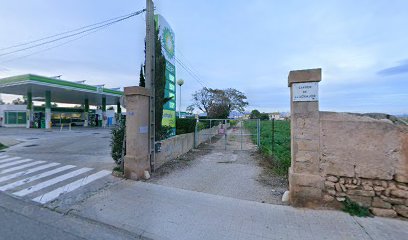 Lavado de autos - bp