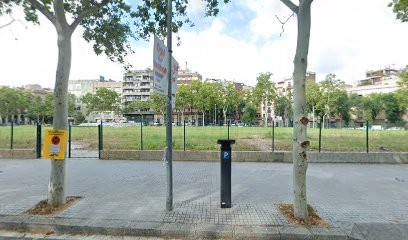 RentalCar & Bus