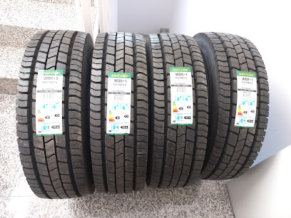 Vikema 2000 S.L. Distribuidor en Zaragoza de Neumáticos de Camión y Turismo