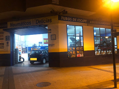 Neumáticos Delicias