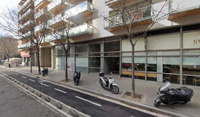 Chófer Guía BCN
