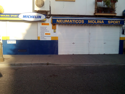 Neumáticos Molina Sport
