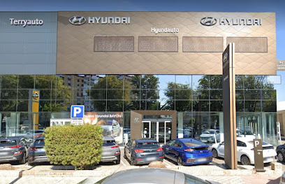 Grupo Terry Automoción