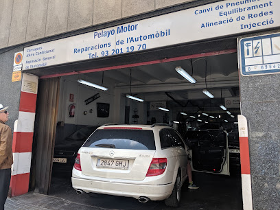 Pelayo Motor 2014 SCP