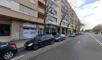 Taller Paddock