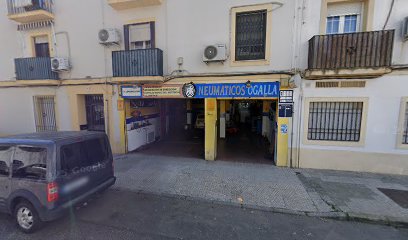 Ogalla Neumáticos