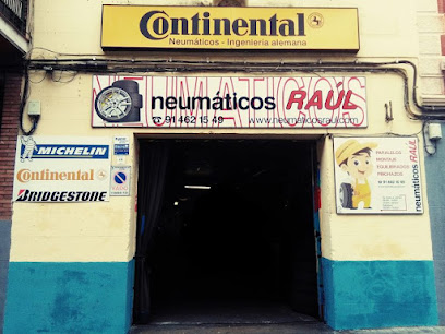 Neumáticos Raúl