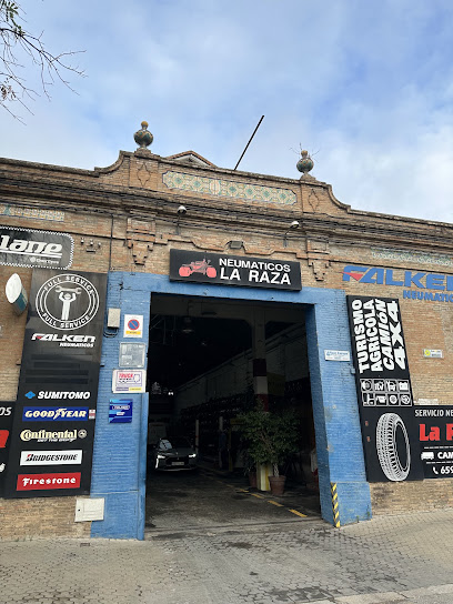 Neumáticos la Raza C. B.