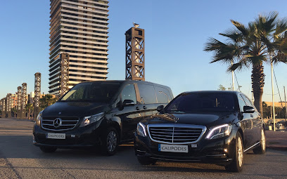 Cars Calipodes S.L.