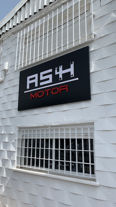 Ash Motor