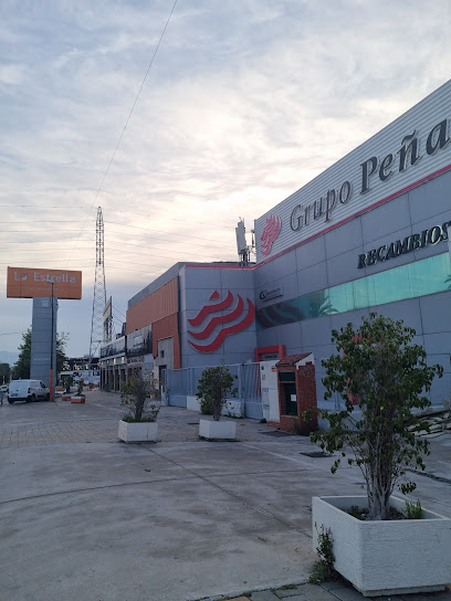 Grupo Peña Automoción - Recambios Málaga